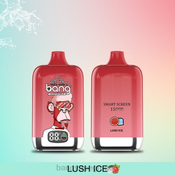Bang Vape Greece - Bang Vape Digital Smart Screen 15000 τζούρες 25ml 608811 αναλώσιμα