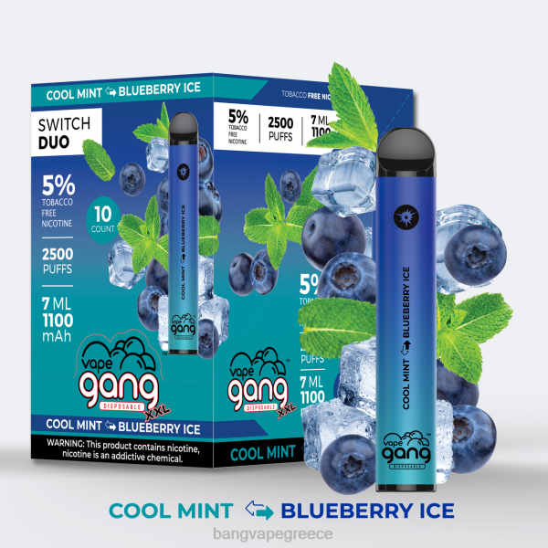Vape Bang Disposable - Vape Gang Switch Duo 2 γεύσεις (κουτί των 10) 608838 φράουλα αλόης - μάνγκο φράουλα