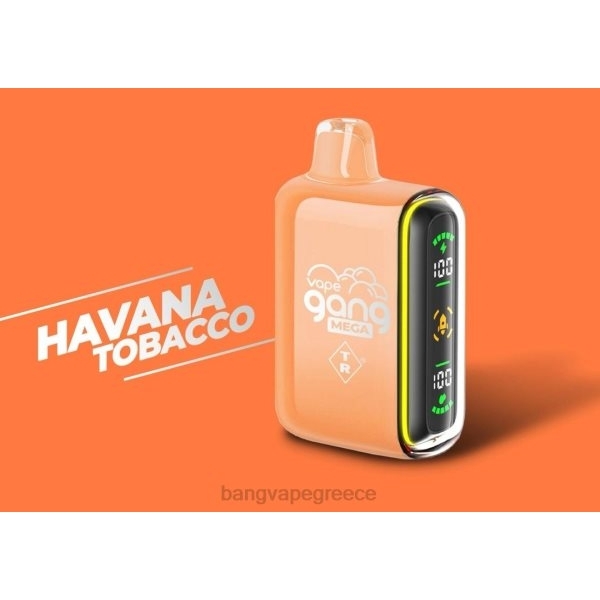 Vape Gang Athens - Vape Gang MEGA 20.000 ρουφηξιές ατμούς μιας χρήσης (κουτί των 5) 608855 καπνός της Αβάνας