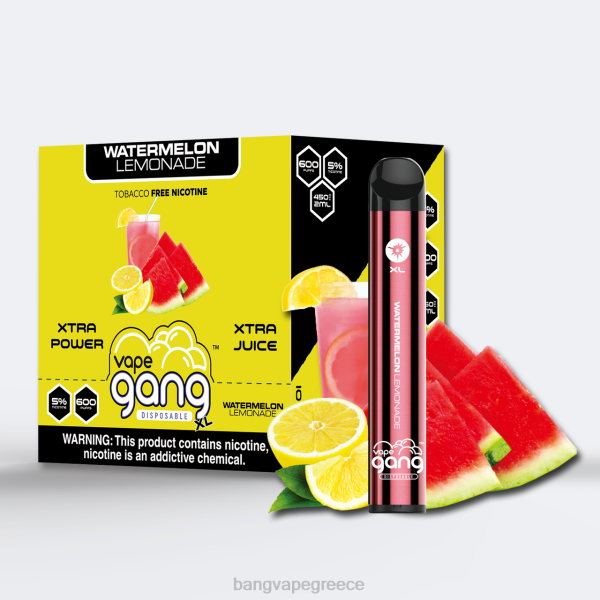 Vape Gang Athens - Vape Gang XL ατμούς μιας χρήσης 600 ρουφηξιές (κουτί των 10) 608865 λεμονάδα καρπούζι