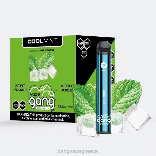 Vape Gang Disposables - Vape Gang XL ατμούς μιας χρήσης 600 ρουφηξιές (κουτί των 10) 608879 δροσερή μέντα