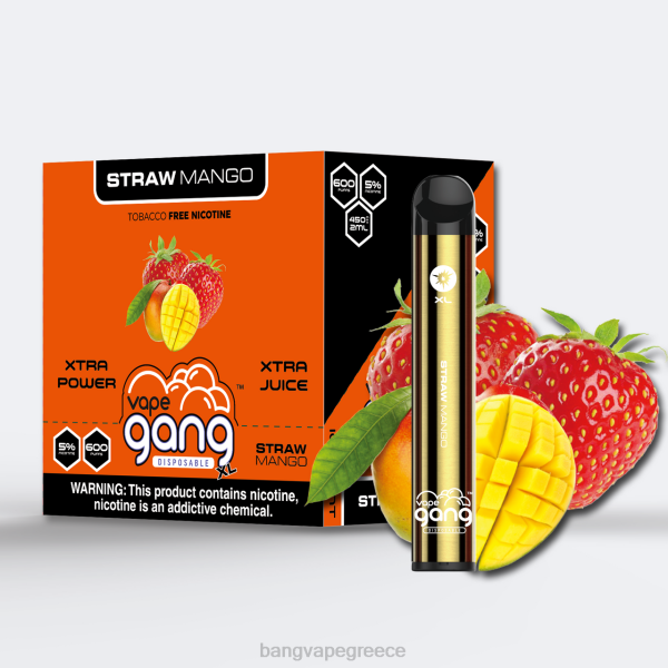 Vape Gang Greece - Vape Gang XL ατμούς μιας χρήσης 600 ρουφηξιές (κουτί των 10) 608866 άχυρο μάνγκο