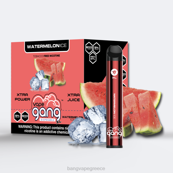 Vape Gang Greece - Vape Gang XL ατμούς μιας χρήσης 600 ρουφηξιές (κουτί των 10) 608876 πάγος καρπούζι